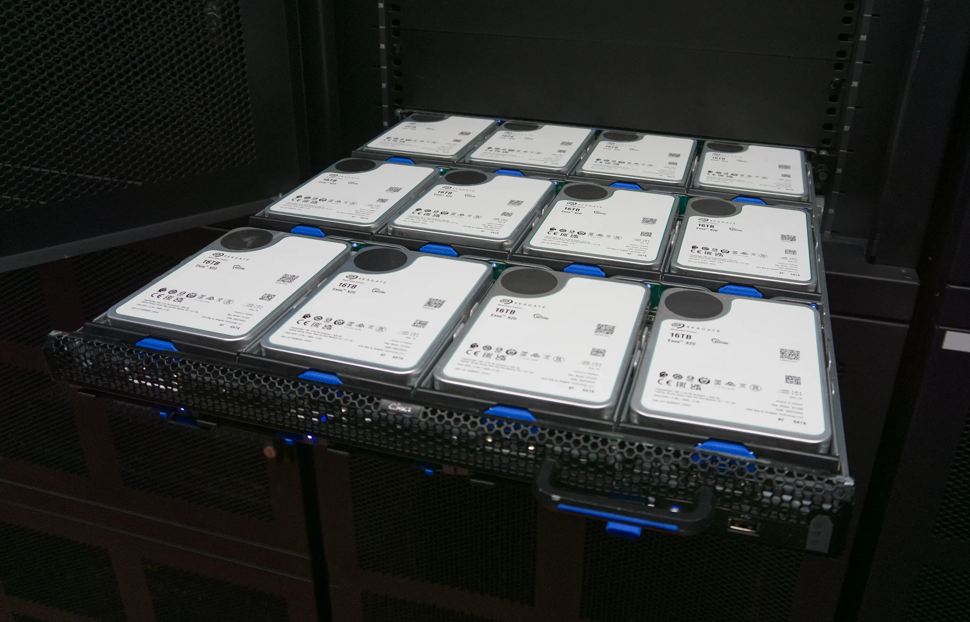 Photo showcasing twelve 16TB hard drives pulled out on a tray from my 1U Quanta NAS server.